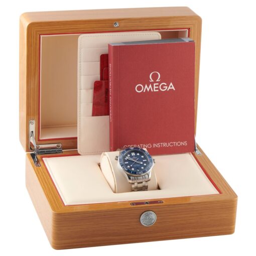 Seamaster Diver 300M Steel Watch 210.30.42.20.03.001 - Image 2