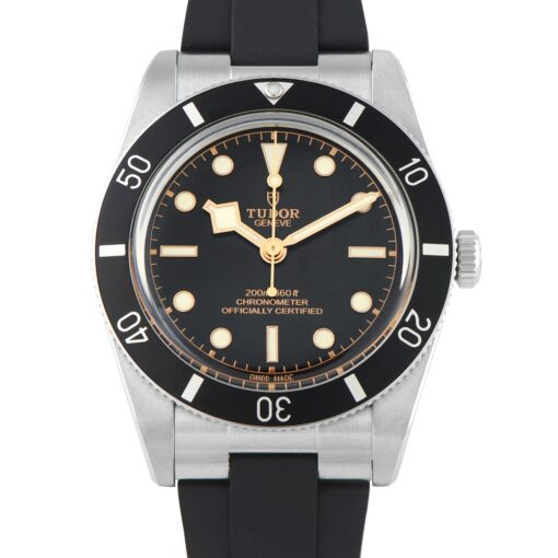 Black Bay 54 Steel Watch 79000N