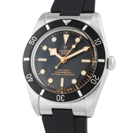 Black Bay 54 Steel Watch 79000N - Image 5